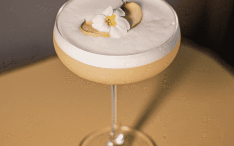 Cóctel Ginger Sour